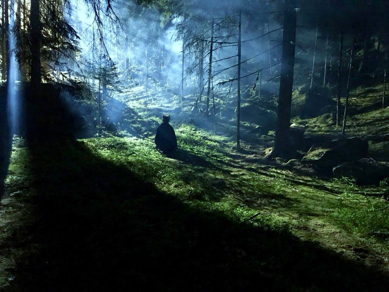 WOODFILM Impression