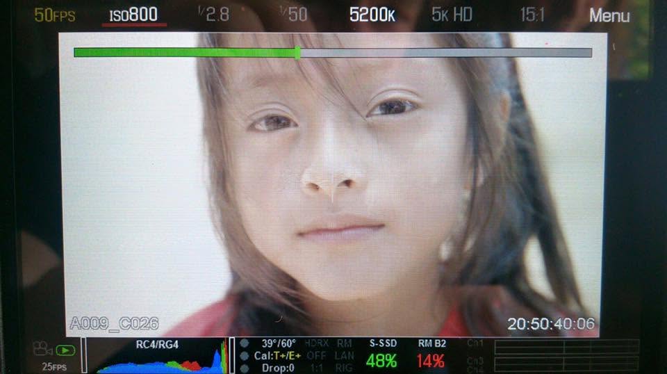 WOODFILM Impression